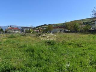 ΑΠΟΨΗ ΟΙΚΟΠΕΔΟΥ