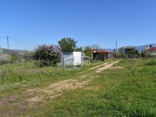 ΑΠΟΨΗ ΟΙΚΟΠΕΔΟΥ