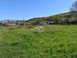 ΑΠΟΨΗ ΟΙΚΟΠΕΔΟΥ