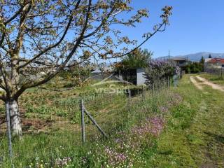 ΑΠΟΨΗ ΟΙΚΟΠΕΔΟΥ