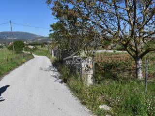 ΑΠΟΨΗ ΟΙΚΟΠΕΔΟΥ