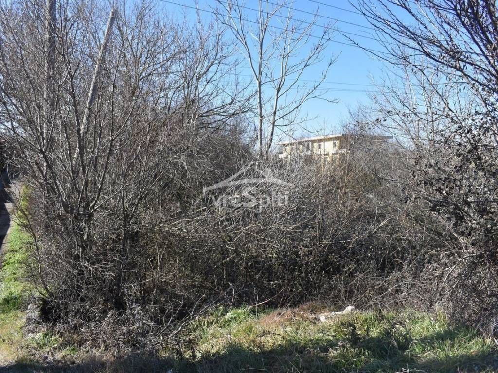 Κ-13861 ΦΩΤΟ ΟΙΚΟΠΕΔΟΥ