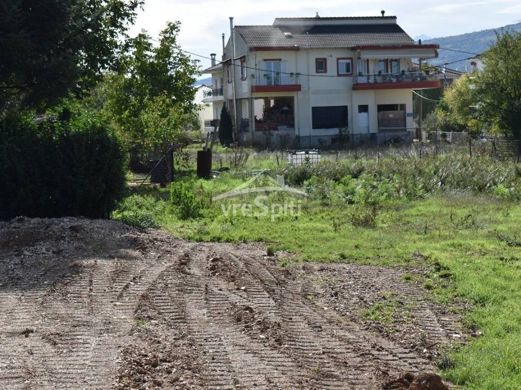 Φωτογραφίες οικοπέδου.