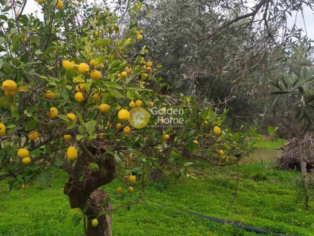 Εξωτερικός Χώρος