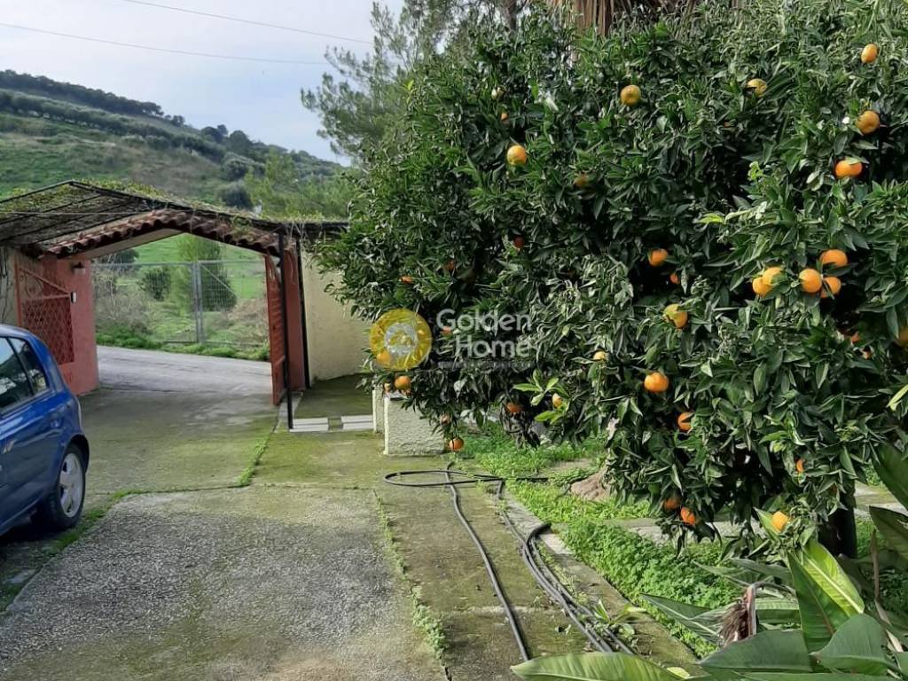 Εξωτερικός Χώρος