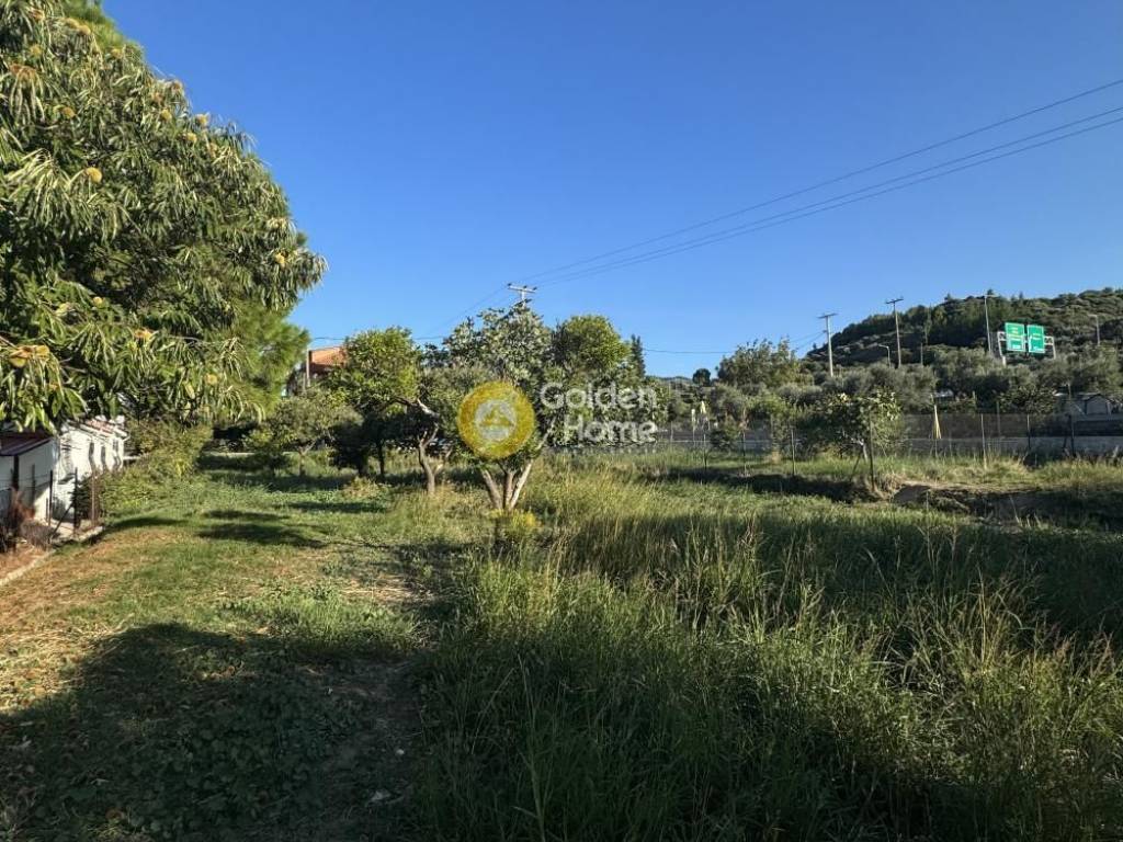 Εξωτερικός Χώρος