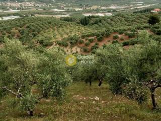 Κυρίως Χώρος