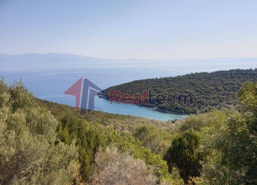 Αγροτεμάχιο