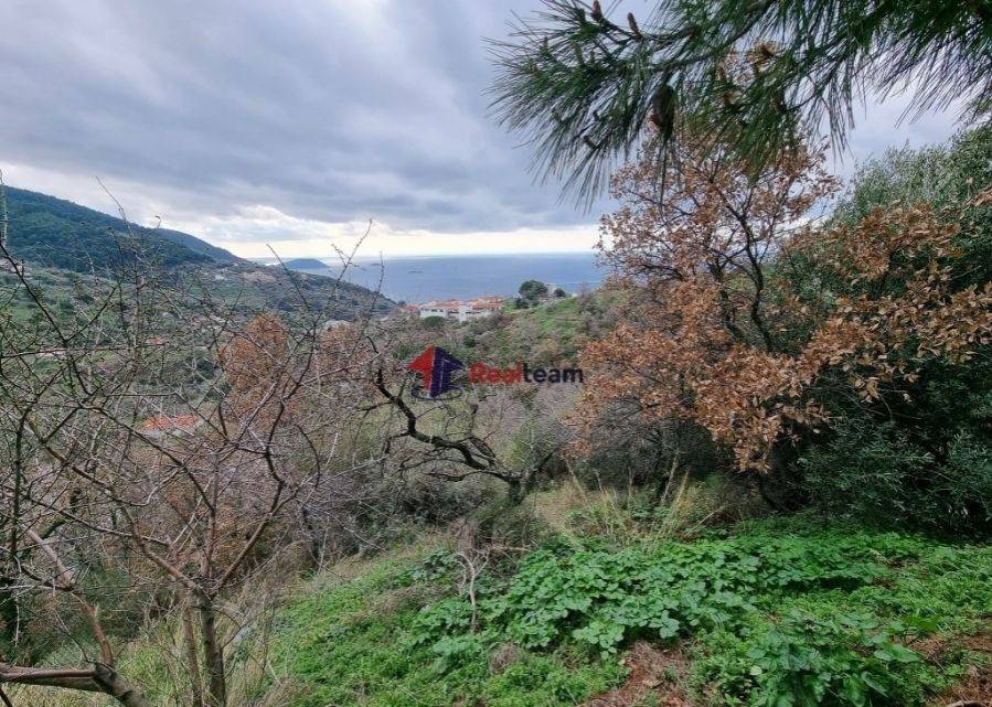 Εξωτερική