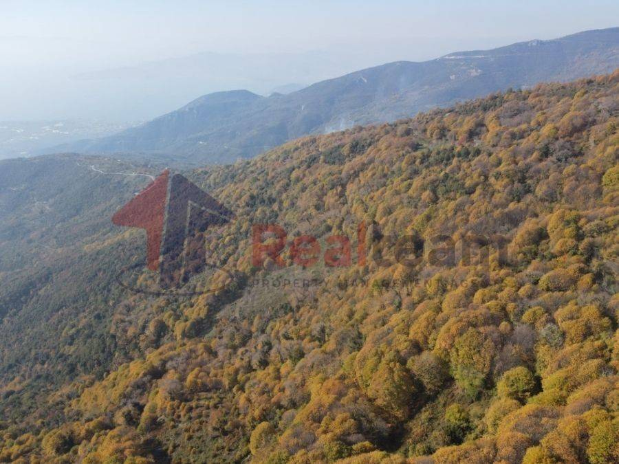 Νοτιοδυτική όψη