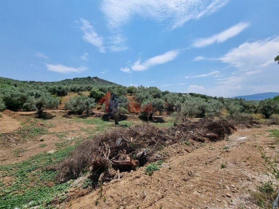 Εσωτερική