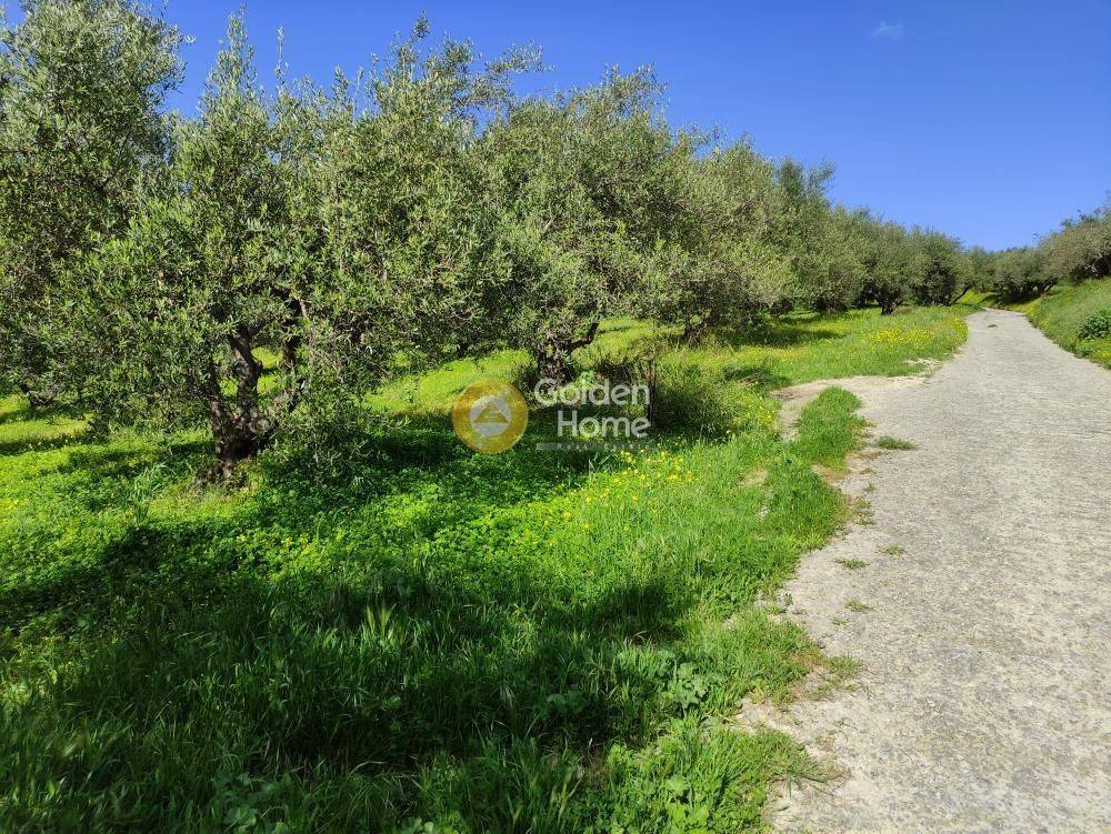 Εξωτερικός Χώρος