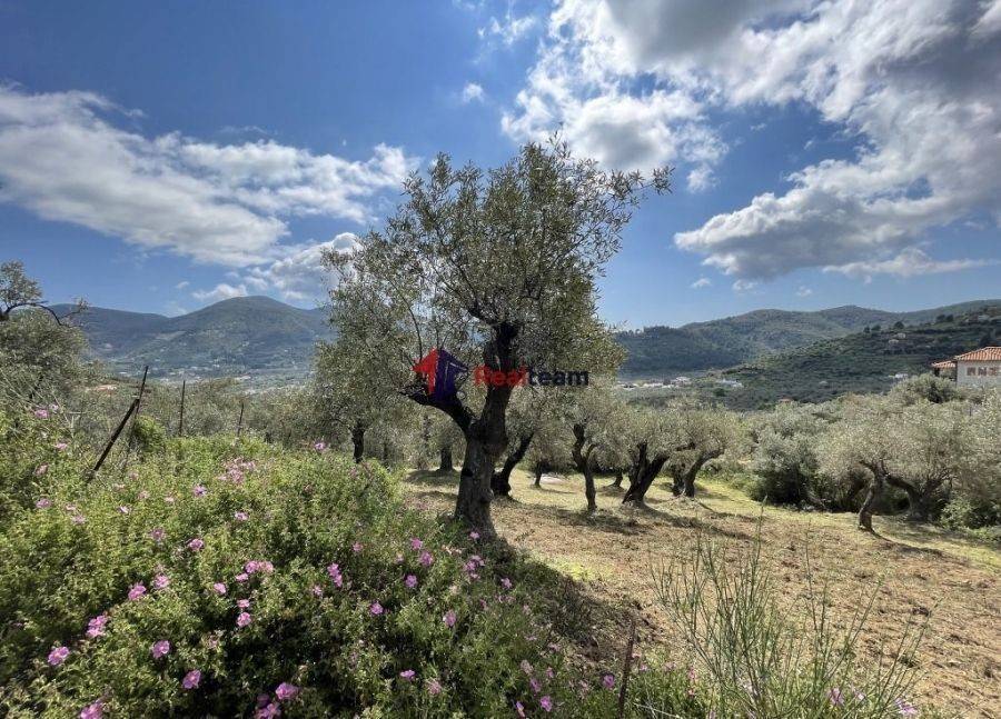 Εξωτερική