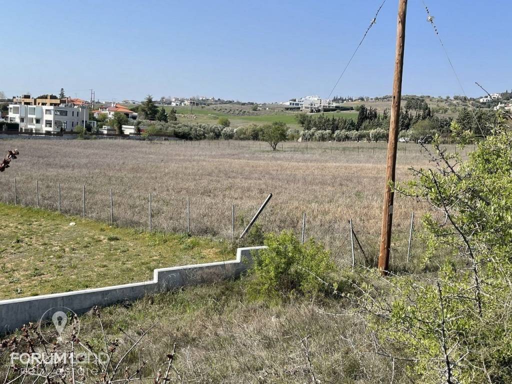 Forumland Real Estate, αγροτεμάχιο 8.000τμ