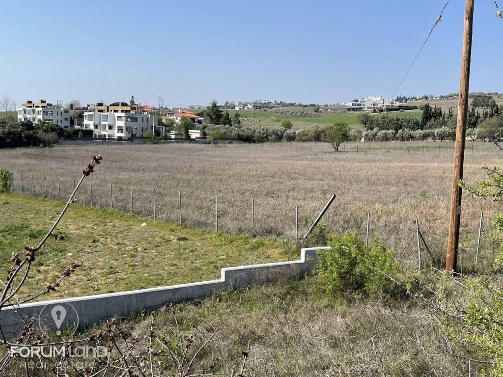 Forumland Real Estate, αγροτεμάχιο 8.000τμ