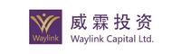 WAYLINK CAPITAL LTD