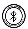 GEMINI MOTION AND PROPERTIES INTERNATIONAL LLC