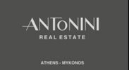 ANTONINI REAL ESTATE